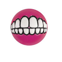 Produktbild von Rogz Grinz Hundespielzeug Ball Rosa Klein