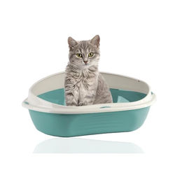 Rohrschneider Eckige Katzentoilette XL aus Kunststoff in Blau – Bild 1 von 6