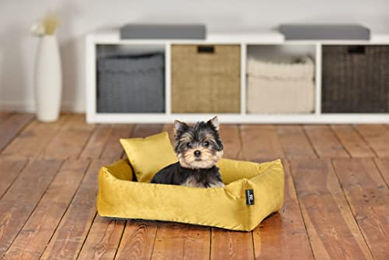 Rohrschneider Hundebett Kuschelsofa aus Polyester in Gelb Größe S für kleine Hunde – Bild 1 von 4