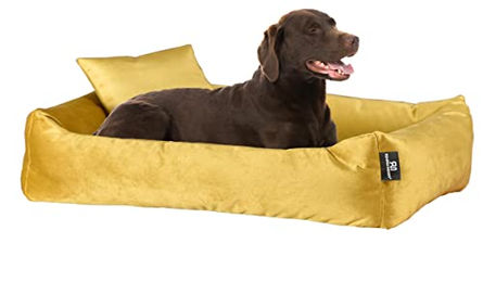 Rohrschneider Hundebett Kuschelsofa Gelb Größe L mit Hundekotbeutelset – Bild 1 von 5