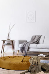 Rohrschneider Hundekissen Kuschelhöhle Denver Gelb Größe L aus Polyester – Bild 1 von 8