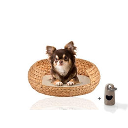 Rohrschneider Hundekorb aus Bananenblatt mit waschbarem Kissen Größe S Beige – Bild 1 von 11