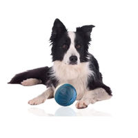 Produktbild von Rohrschneider Hundespielzeug Futterball aus Kunststoff Blau für kleine und mittlere Hunde