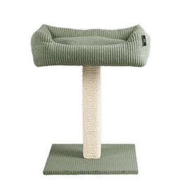 Rohrschneider Katzenbaum mit Kuschelsofa aus Vollholz und Cordstoff in Salbei 45x58x68 cm – Bild 1 von 1