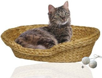 Rohrschneider Katzenbett Bananenblatt Beige mit Kissen – Bild 1 von 2