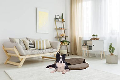 Rohrschneider Kuschelinsel Samt Valley Hundekissen Taupe Größe L – Bild 1 von 4
