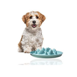 Rohrschneider Slow Feeder Antischlingnapf für Hunde und Katzen aus Kunststoff in Blau – Bild 1 von 6