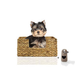 Rohrschneider Tierbett Domingo Hundebett und Katzenbett aus Naturmaterial Wasserhyazinthe und Bananenblatt Größe S 44 x 30 x 20 cm – Bild 1 von 8