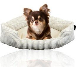 Rohrschneider XXL Eck-Hundebett für große Hunde aus Cord in Grau Größe M – Bild 1 von 2