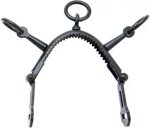 Roldan Western Snaffle-Trense für Pferde in Blau oder Schwarz – Bild 1 von 1