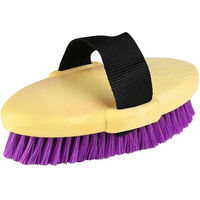 Produktbild von Roma Brights Körperbürste aus Nylon in Lila