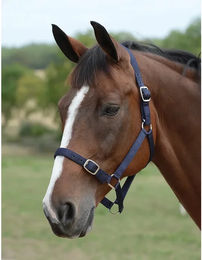 Produktbild von Roma Halfter und Longiergurt Set aus Baumwolle Blau für Pferde