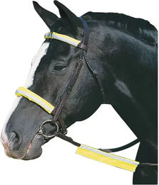 Roma Reflect Bridle Kit Gelb Zaumzeugschutz für die Trense – Bild 1 von 2
