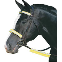 Produktbild von Roma Reflect Bridle Kit Gelb Zaumzeugschutz für die Trense