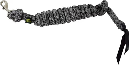 Produktbild von Ronzon Legend Abnehmbare Longierleine aus Leder in Schwarz mit Silberbeschlag