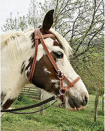 Produktbild von Ronzon Legend Leder Side Pull Halfter für Pferde in Braun