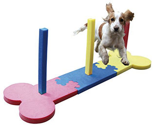 Produktbild von Rosewood Agility-Slalomstangen für kleine Hunde aus Schaumstoff bunt