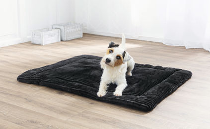 Produktbild von ROY Hundekissen mit Frischeduft aus Polyester Größe M in Grau oder Schwarz
