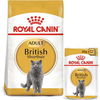 Produktbild von Royal Canin Adult British Shorthair Futterpaket mit Trockenfutter 10kg und Nassfutter in Soße 48x85g - 48 x 85 g