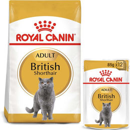 Produktbild von Royal Canin Adult British Shorthair Trockenfutter und Nassfutter in Soße 2kg und 12x85g - 2 kg