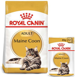 Produktbild von Royal Canin Adult Maine Coon Katzenfutter Set mit 10kg Trockenfutter und 48x85g Nassfutter Stückchen in Sauce - 48 x 85 g