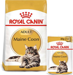Produktbild von Royal Canin Adult Maine Coon Trockenfutter 2kg und Nassfutter in Soße 12x85g für Katzen - 12 x 85 g
