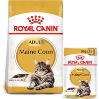 Produktbild von Royal Canin Adult Maine Coon Trockenfutter 2kg und Nassfutter in Soße 12x85g für Katzen - 12 x 85 g