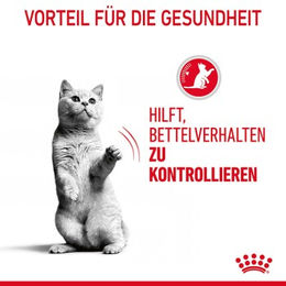 Produktbild von Royal Canin Appetite Control Care Katzenfutter Stückchen in Sauce zur Gewichtskontrolle 12 x 85 g - 12 x 85 g