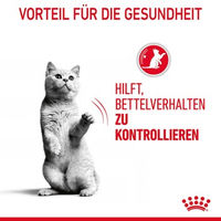 Produktbild von Royal Canin Appetite Control Care Katzenfutter Stückchen in Sauce zur Gewichtskontrolle 12 x 85 g - 12 x 85 g