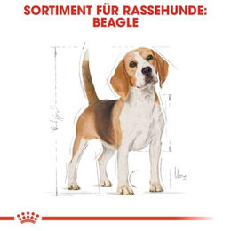 Royal Canin Beagle Adult Light Trockenfutter zur Gewichtskontrolle 2x12 kg - 2 x 12 kg – Bild 1 von 2