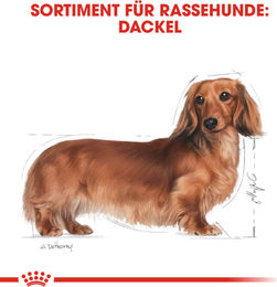 Royal Canin Breed Dachshund Adult Hundefutter Geflügel 500 g - 3 x 500 g – Bild 1 von 6