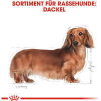 Produktbild von Royal Canin Breed Dachshund Adult Hundefutter Geflügel 500 g - 3 x 500 g