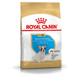Royal Canin Breed French Bulldog Puppy Trockenfutter für Welpen 1 kg - 1 kg – Bild 1 von 5