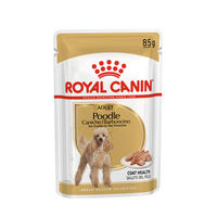 Produktbild von Royal Canin Breed Health Nutrition Hundefutter für Pudel Adult 12x85g - 12 x 85 g