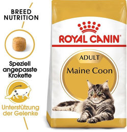 Royal Canin Breed Maine Coon Adult Katzenfutter Trockenfutter Huhn 10 kg - 10 kg – Bild 1 von 5