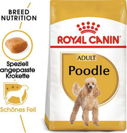 Royal Canin Breed Pudel Adult Trockenfutter Geflügel 500 g - 3 x 500 g – Bild 1 von 4