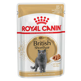 Royal Canin British Shorthair Adult Katzen-Nassfutter Fischstückchen in Soße 85 g - 12 x 85 g – Bild 1 von 3