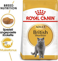 Royal Canin British Shorthair Adult Katzenfutter mit Geflügel 10 kg - 10 kg – Bild 1 von 10