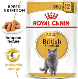 Produktbild von Royal Canin British Shorthair Adult Katzenfutter Nassfutter für ausgewachsene Britisch Kurzhaar Katzen 48x85g