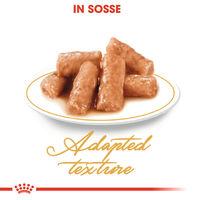 Produktbild von Royal Canin British Shorthair Adult Katzenfutter Stückchen in Soße 12 x 85 g - 12 x 85 g