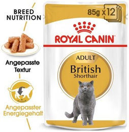 Royal Canin British Shorthair Adult Katzenfutter Stückchen in Soße 12x85 g - 12 x 85 g – Bild 1 von 2