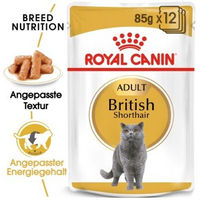 Produktbild von Royal Canin British Shorthair Adult Katzenfutter Stückchen in Soße 12x85 g - 12 x 85 g