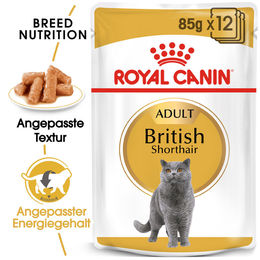 Royal Canin British Shorthair Adult Nassfutter für Katzen 24 x 85 g Beutel – Bild 1 von 2