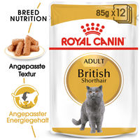 Produktbild von Royal Canin British Shorthair Adult Nassfutter für Katzen 36 x 85 g Beutel