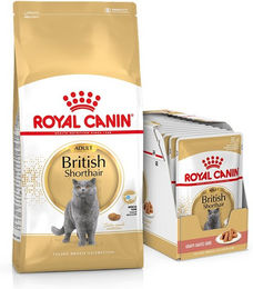 Produktbild von Royal Canin British Shorthair Katzenfutter Adult Geflügel 10 kg und 12x85 g Nassfutter