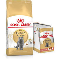 Produktbild von Royal Canin British Shorthair Katzenfutter Adult Geflügel 10 kg und 12x85 g Nassfutter