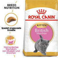 Produktbild von Royal Canin British Shorthair Kitten Trockenfutter 2x 10 kg - 2 x 10 kg
