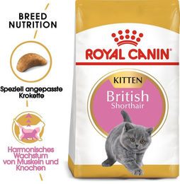 Royal Canin British Shorthair Kitten Trockenfutter für Kätzchen 10 kg - 10 kg – Bild 1 von 6