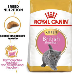 Produktbild von Royal Canin British Shorthair Kitten Trockenfutter für Kätzchen mit Geflügel 20 kg - 2 x 10 kg