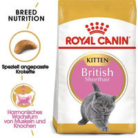 Produktbild von Royal Canin British Shorthair Kitten Trockenfutter für Kätzchen mit Geflügel 20 kg - 2 x 10 kg
